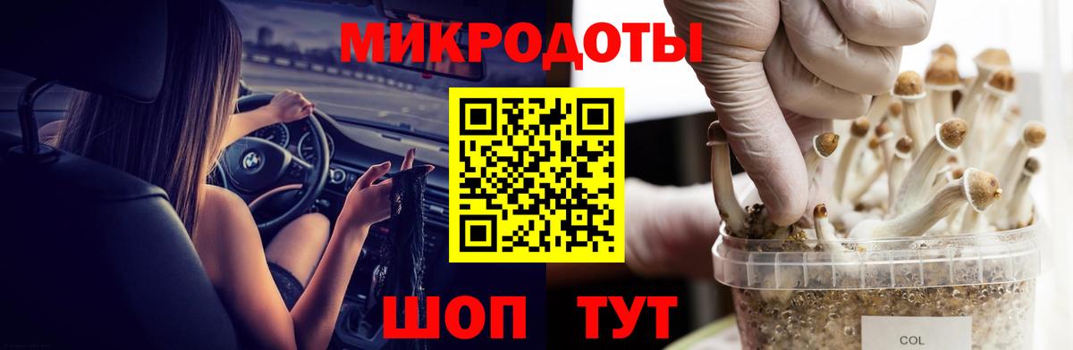 Тулун  Псилоцибиновые грибы Psilocybe  Вход с VPN 